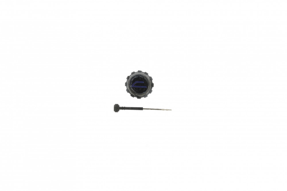 Diesel Crown Pin DZ4338